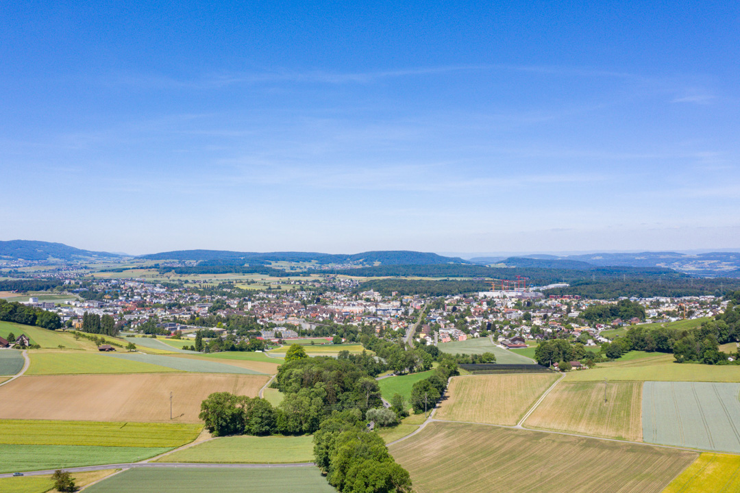 Zürcher Unterland